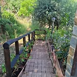 Cilento D'amare Castellabate