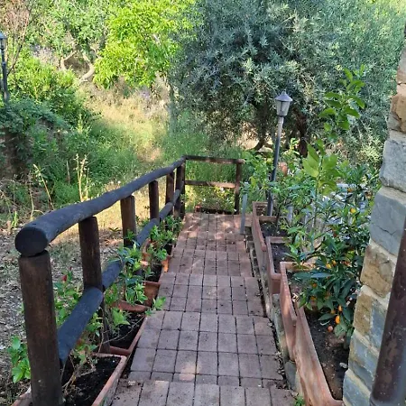 Cilento D'amare Castellabate
