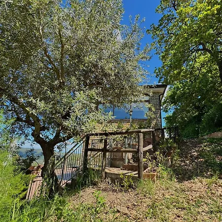 Cilento D'amare Castellabate